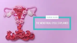 Your Menstrual Cycle Explained