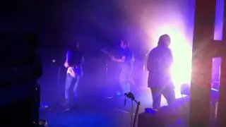 California Stars live with Wilco at Solid Sound 2011