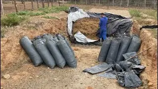 L&Aacute;ZARO ABRIU O SILO DEPOIS DE DOIS MESES FEITO VAJA A QUALIDADE DA RA&Ccedil;&Atilde;O !!!!!!