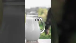 milk without a cow 🐮 #cows #milk #animals #agrichronicles #farming #facts