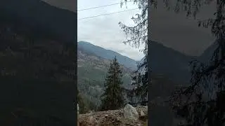 swipe up the under the forest Areas.