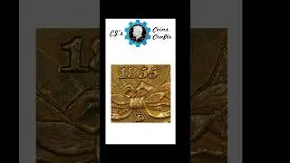 Coin Mint Marks | CJs Coins #mintmarks #coins #cjscoins #coincollecting #60secondcoins