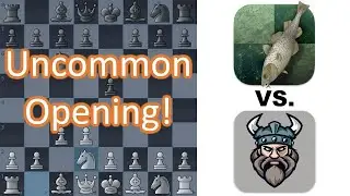 Uncommon Saragossa Setup! Stockfish 16.1 vs. Berserk 13