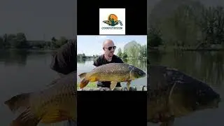 Carpfishing Italy Competiton Baits #carpfishing #carp #fishing #fish #funny #follow #like #passion