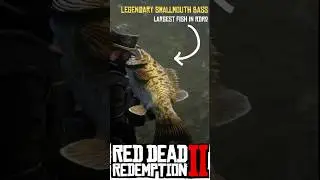 Biggest fish in Red Dead Redemption 2 - Legendary Smallmouth Bass -  RDR2 - #rdr2 #gaming