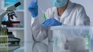 Verify: Have Israeli scientists really found a cure for cancer?
