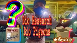 Vlogg 34 Part 21 Bio Research | Bio Pigeon | Unboxing | Japanese Bantham