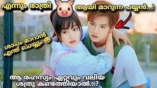 My Piggy Boss fantasy chineese romantic movie malayalam explanation ❤️🥰