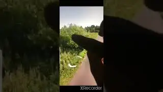 Is this a flying rabbit??🤯😰Scary things caught on Google Earth and Google Maps