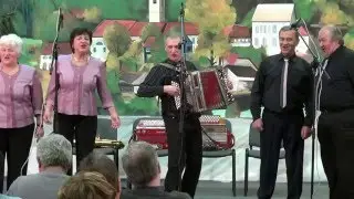 Pleteršnikovi pevci Pišece - Jaz pa moja Urška (v živo)