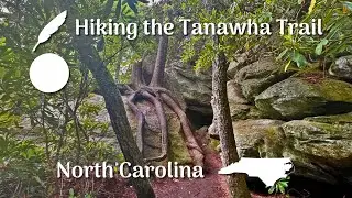 A 27 Mile Adventure Hiking North Carolina's Tanawha Trail!