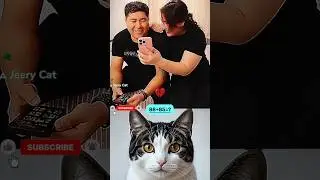 Wife With Fack Reaction 😂😱 #funny #cat #dance #shorts