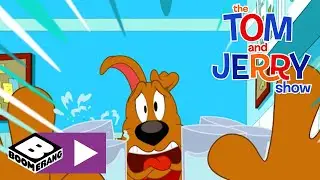 Tom și Jerry | Mister la Paris | Cartoonito