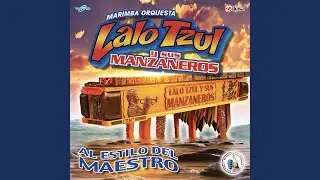 Las Pegaditas de Lalo # 6: De Corazon / Que Lejos Estas de Mi / Cariñito No Te Vayas / Nancy Paola