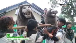 CINTA HIANAT (ATRAKSI) - DARMA JAYA,....COY | Cipunagara, 9-7-2017