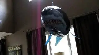 Air Swimmer - flying shark