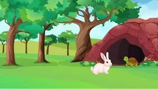 The Rabbit Went to The Turtle's House