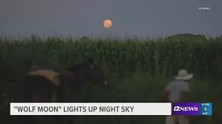 'Wolf Moon' lights up the night sky