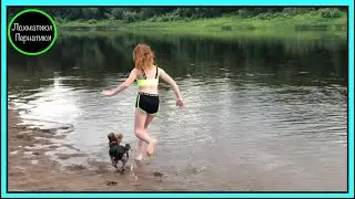 🐶«ЙОРКШИРСКИЙ ТЕРЬЕР АЙСИ ДАЁТ ЖАРУ НА РЕКЕ ПОСЛЕ ДОЖДЯ»🐶/ Смешные собаки/Собака в доме.