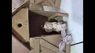 Part 2 The  Secret world of garden gnomes in their villages .