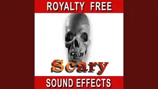 Scary Sound Effect 19