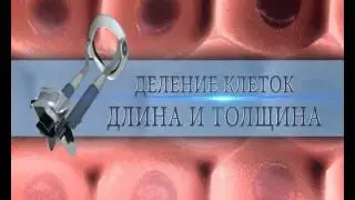 Male Edge Russian language version