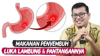 MAKANAN UNTUK LUKA LAMBUNG BESERTA PANTANGANNYA - DOKTER SADDAM ISMAIL