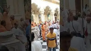 Guru Puja iskcon vrindavan #shots #iskcon #vrindavantourism @iskconallinone