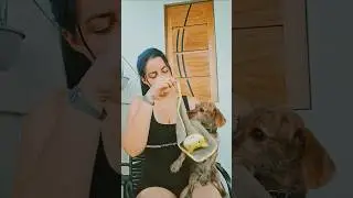 baixotinha e sua naninha #shorts #donadecasa #humor #youtubecreator #engra&ccedil;ado