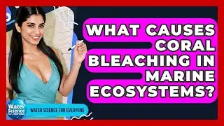 What Causes Coral Bleaching In Marine Ecosystems? - Water Science For Everyone