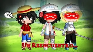 Un Reencuentro... || Leer Des || AU Sabo y Ace Marine, Luffy Pirate || ASL || One Piece ||