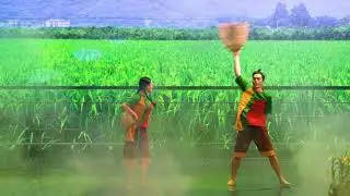 ANH EM NH&Agrave; &Uacute;T | DUCASHOW