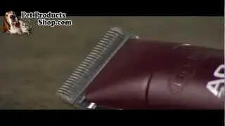PetProductsShop - Andis AGC Super 2-Speed Dog Clipper