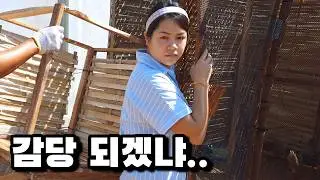 라오스 아내가 통 크면 이런 문제가 생깁니다
