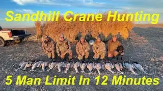 Shooting Fast Limits Of Sandhill Crane
