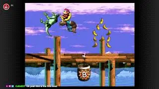 The trilogy concludes! DKC3 blind race VS EvanBreaksGames