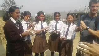 Superb Catalyst Academy