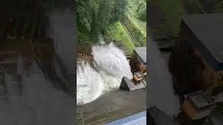 #iamsudhith Mattupetty Dam gates open