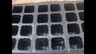 42 cup trays | poly cup tray | cane tray | plastic seedling tray