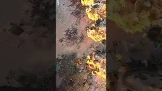 olhos d'&aacute;gua - Portugal drone view