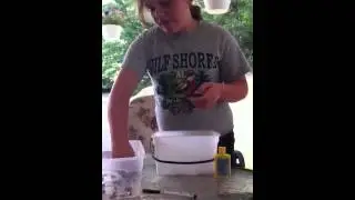 How to set up a bull frog habitat