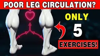Over 50? Do THESE 5 Exercises for Poor Leg Circulation | Senior Health Secrets