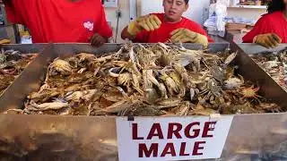 The Wharf l Best Place to Buy Seafood in Washington DC I USA