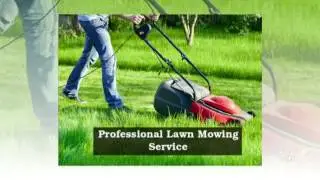 How Experts Do Lawn Care In Calgary