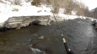 020. Shimano Tenkara 34-38 ZL review