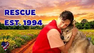 The Emotional Wolf Rescue Story Everyone Needs to Hear (S2E12)