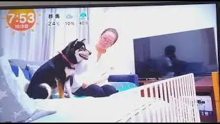 きょうのわんこ　7057番　2024/10/3