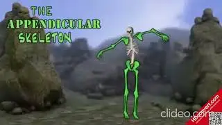 All Human Bones Name with Numbers in a Song | Learn with Fun 🦴🎶