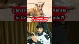 Can I Find a Dog in Kerala in Under 60 Seconds?! 🐕⏱️