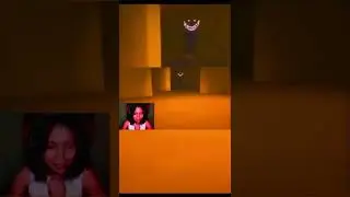Roblox - I am scared? (APEIROPHOBIA) [Gaming Kitty Cath]